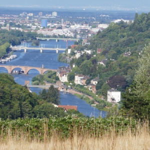 Kanzlerblick