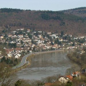 hd-ziegelhausen2009